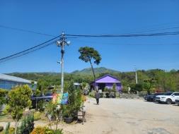 우리들의 정원에서 수영장 글램핑 관리 및 정리 알바 구합니다 게시글 썸네일